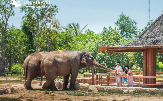 Review Vinpearland Nam Hội An